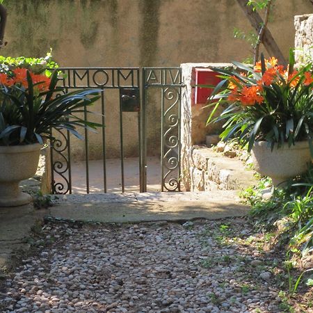 Villa Miomir Dubrovnik Rom bilde