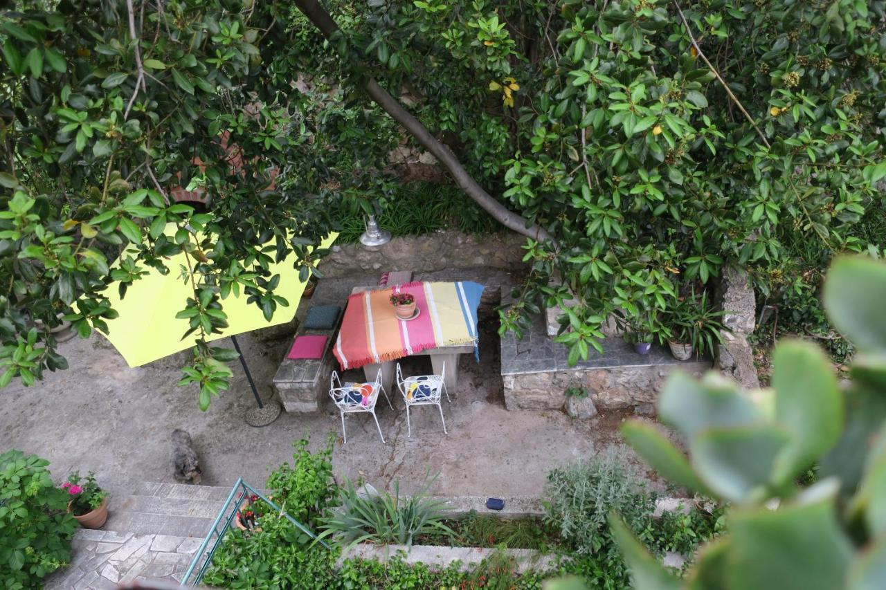 Villa Miomir Dubrovnik Eksteriør bilde