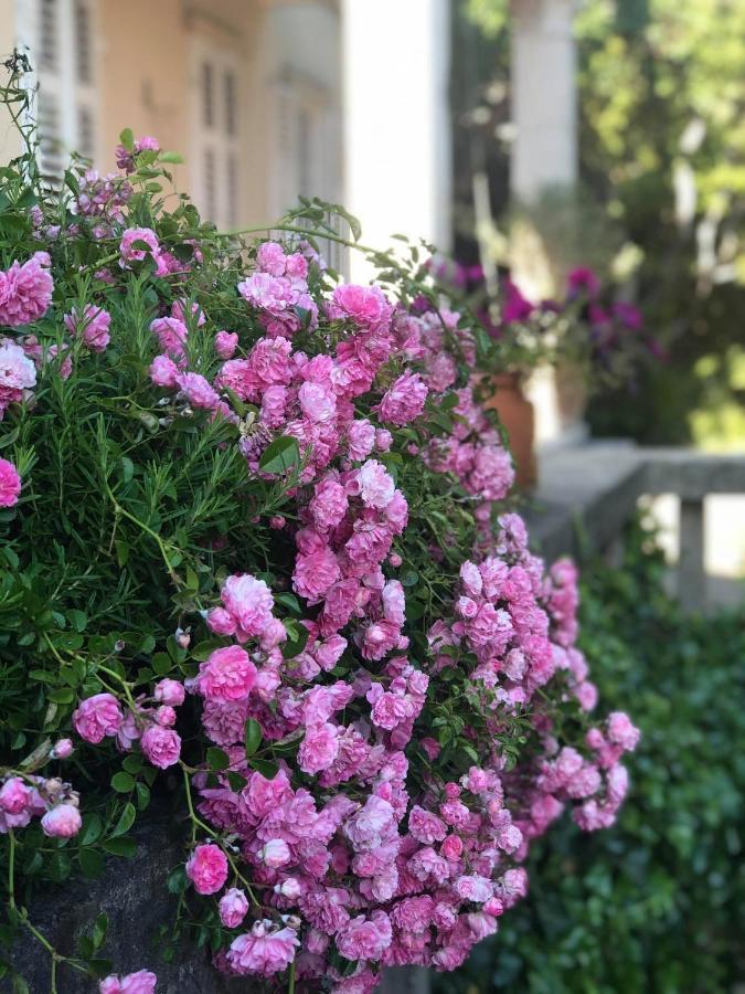 Villa Miomir Dubrovnik Eksteriør bilde