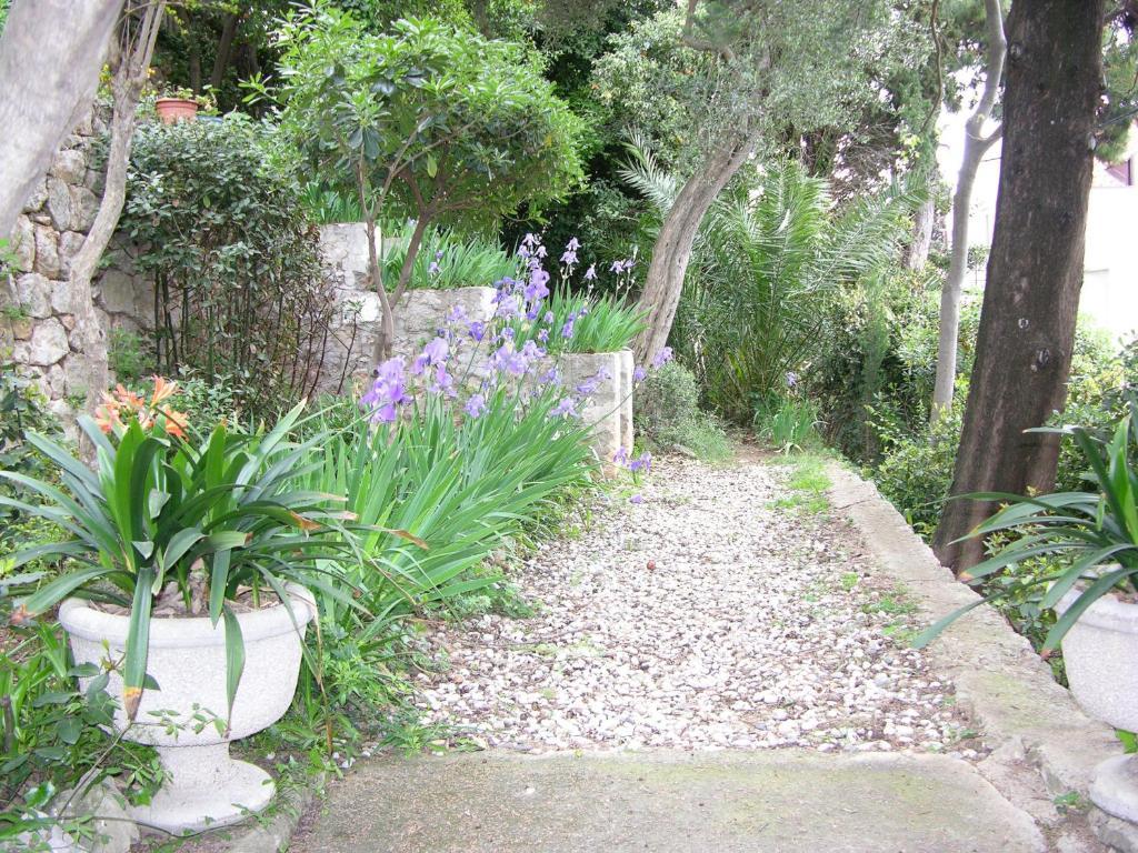 Villa Miomir Dubrovnik Eksteriør bilde